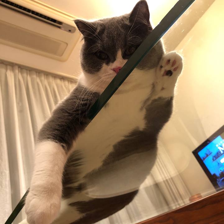 E2f9b12b dd38 4d54 8fe9 b849d13158e6 1521802928190