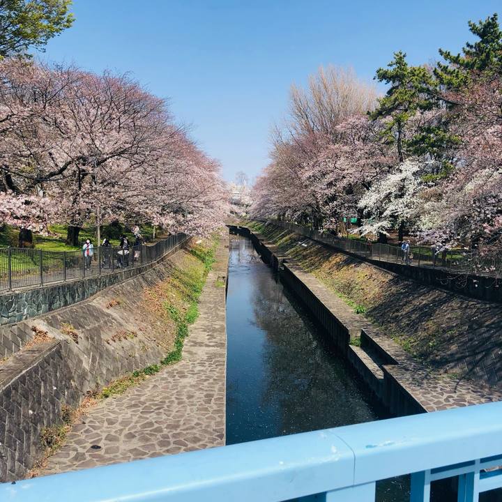 E2f9b14f 3a79 4010 9d36 3199cf28150f 1617017996670