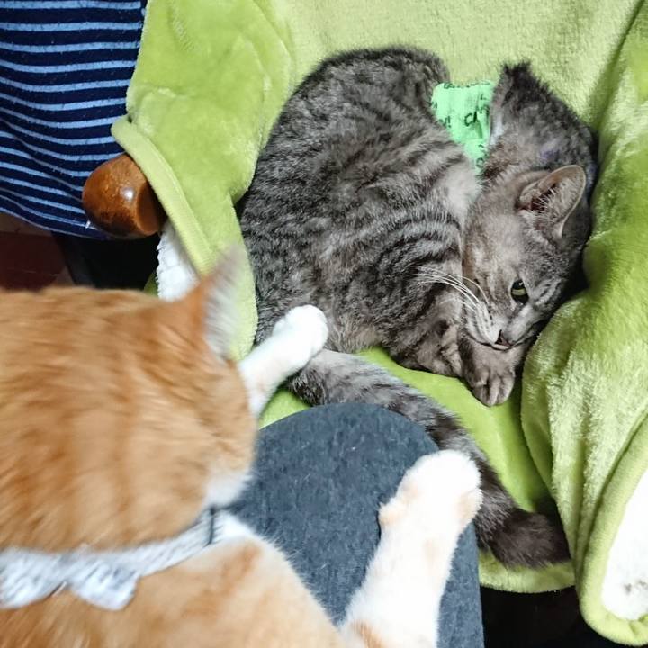 E2fab055 414e 4b42 8049 3cd5518297f7 1587171663756