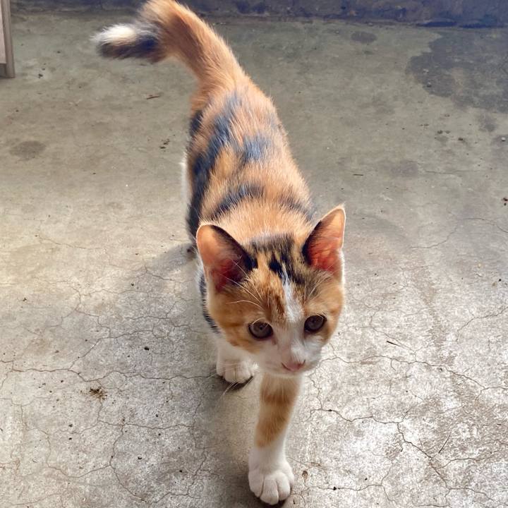 E2fabd14 0df0 4fb6 81d5 b10e0d391e9e 1631510022322