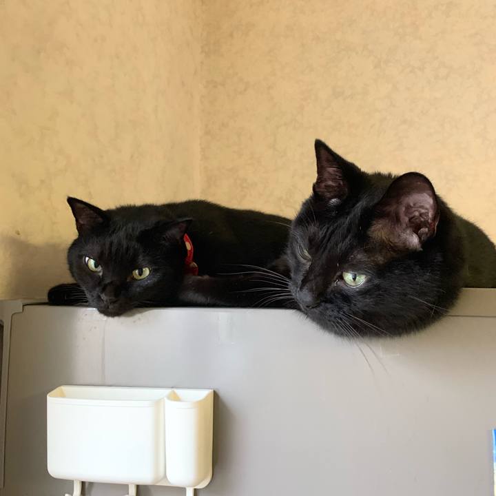 E2faf5a4 4615 467b b5e5 d0850c2e7027 1563584806080