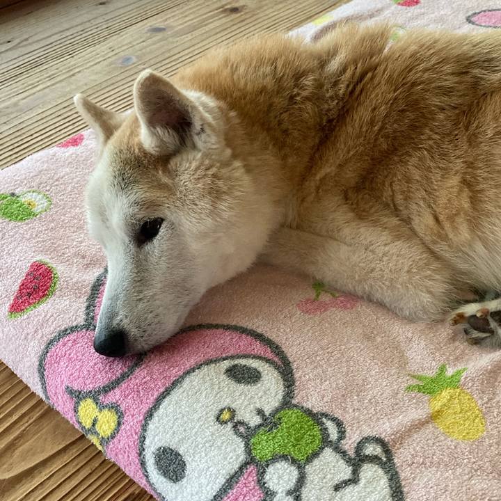 E2fb233b 73cb 428e b2db 8f2d5c711422 1596672612670