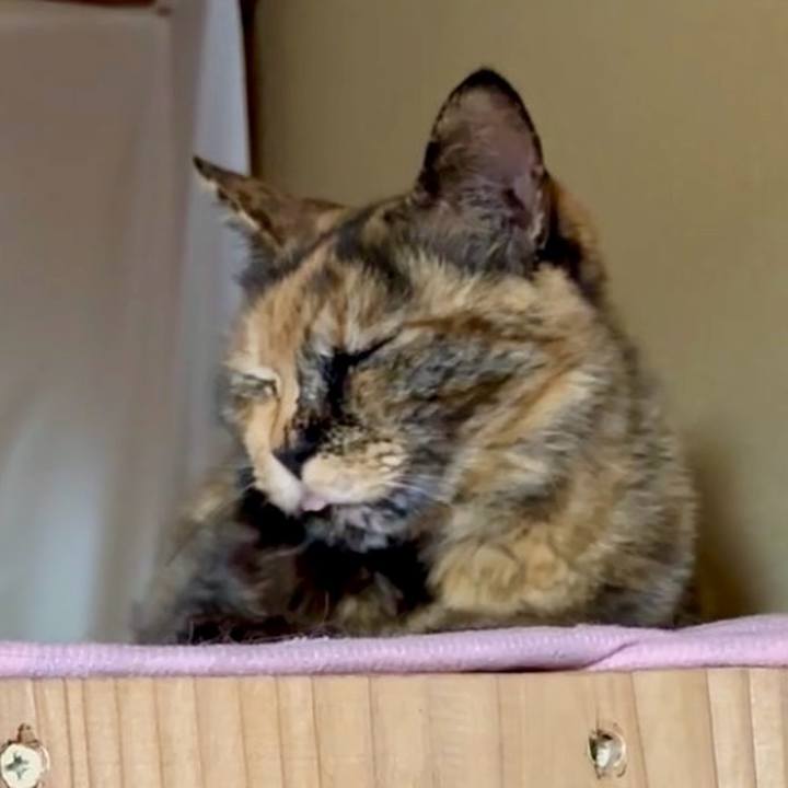 E2fb2b30 813c 43d4 be27 635663156a7f 1747381394823