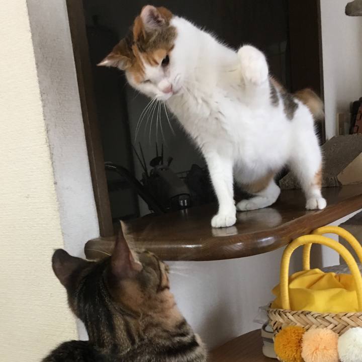 E2fb2d0f 2dec 4e4f a760 0fb7567341f8 1539566443550