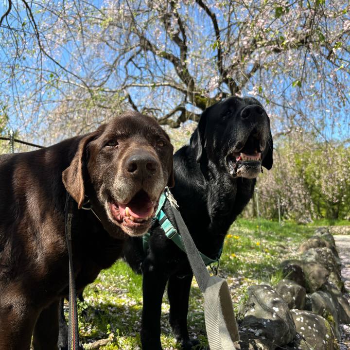 E2fb4b0c b4a7 4846 8c9d e3a7f84b9912 1775994222865