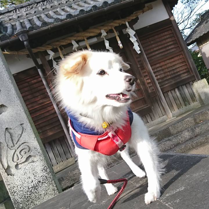 E2fb525e 38b2 4228 93c7 41fd7c921df9 1637537666363