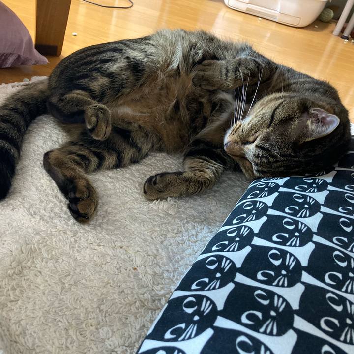 E2fb6681 4ac8 45c0 a442 0f0f773de608 1598178015704