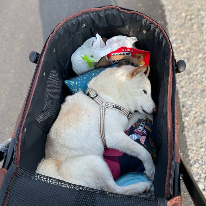 E2fb7949 34de 44d5 a165 0489c8d6e412 1648567270333