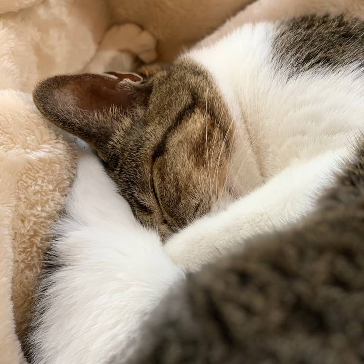 E2fb928b a6b5 40a4 ac2c cb8203e10503 1572309782554