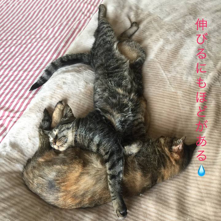 E2fbc231 dcaa 4983 b8c6 ec8b8a5433ca 1541160951440