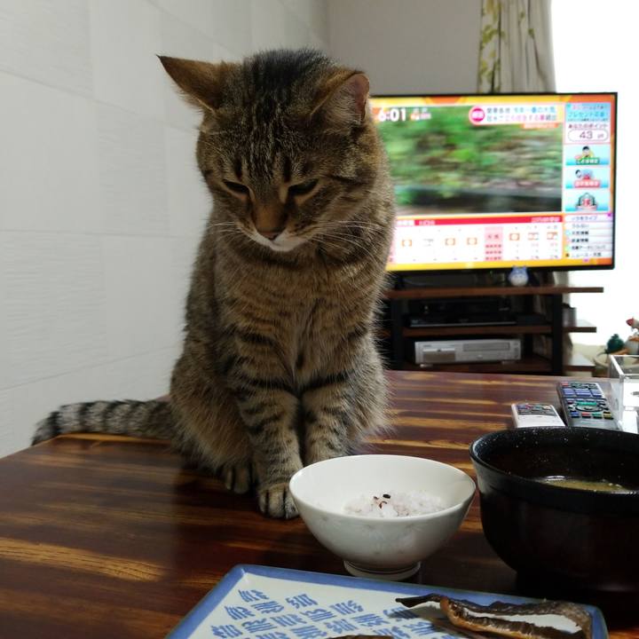 E2fbce48 1c18 4841 8b5e c94d43228346 1558472561259