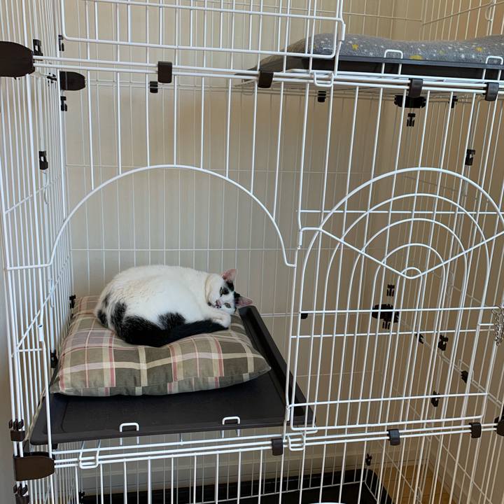 E2fbf554 0ce9 4568 81ae 63634cdf0630 1592698971801