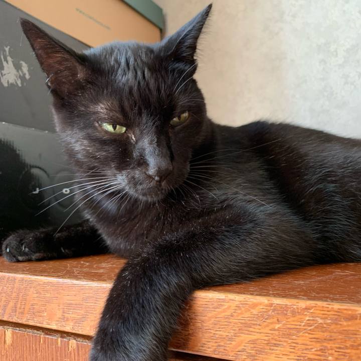 E2fbfda6 ca07 4315 99b2 d842b880ec71 1576978133022