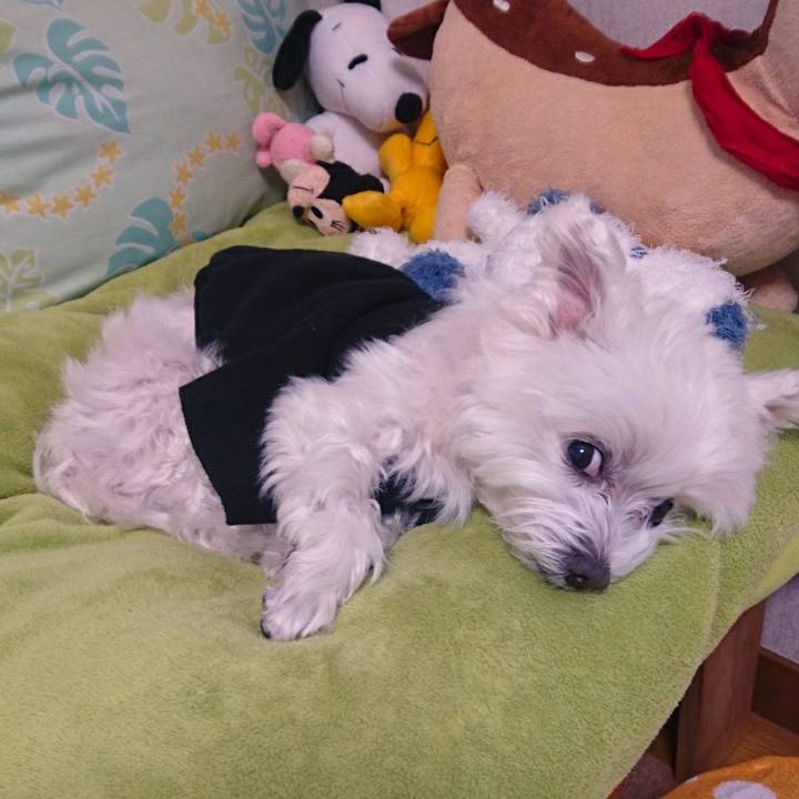 E2fc0180 cabf 4245 abae be6aabf3f18a 1512972718631