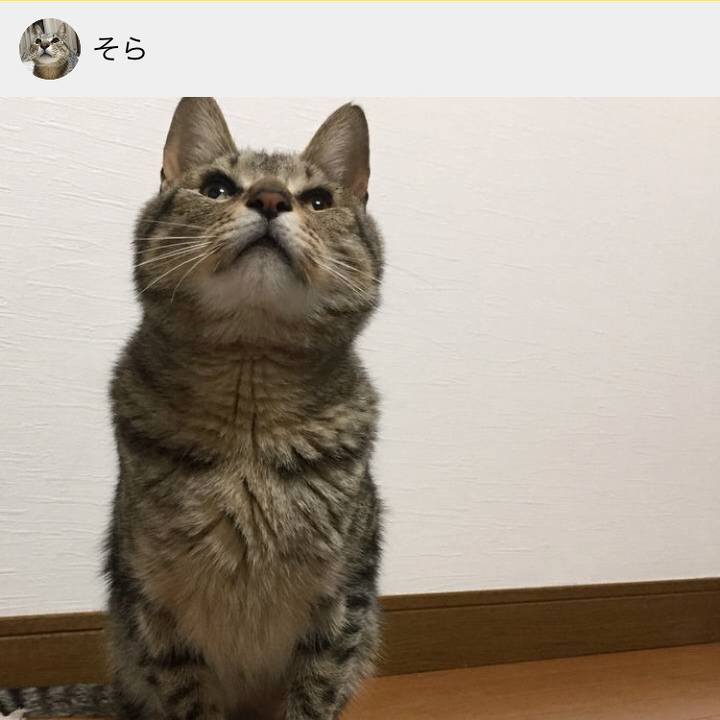 E2fc5a69 2b45 4458 847b 2f269e694870 1527922756186