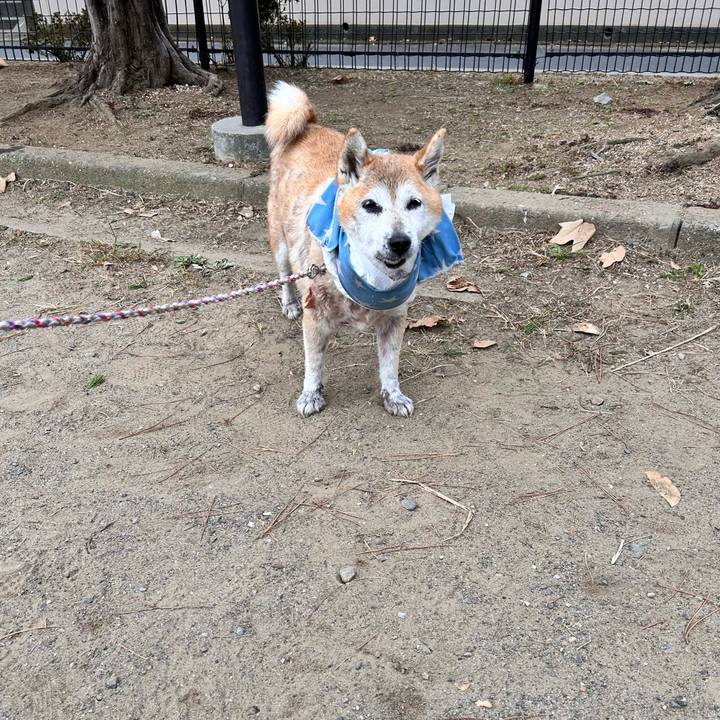 E2fc7338 a326 4759 bb32 5729065a7775 1764040467179