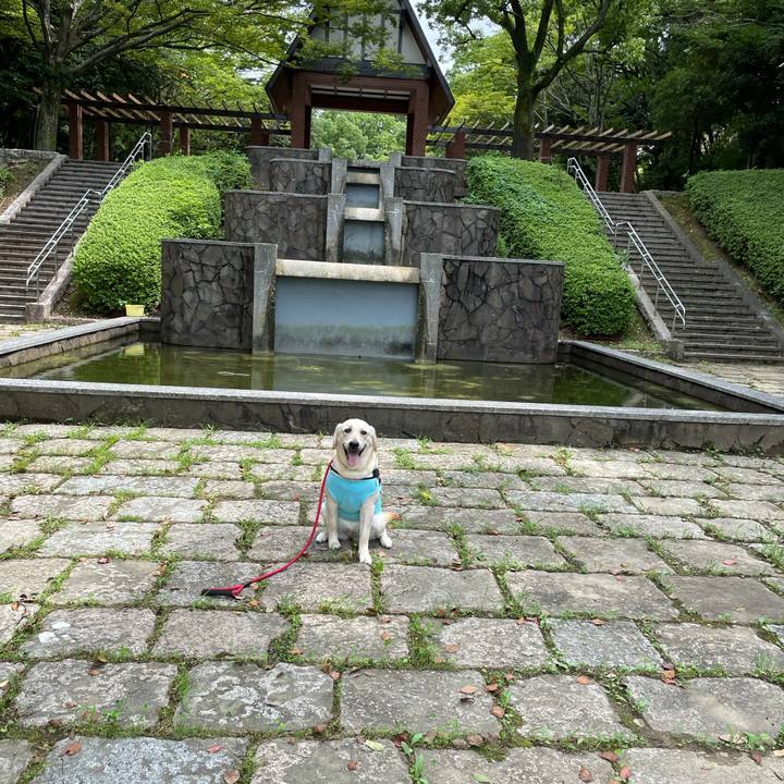 E2fc7b29 1f76 41f9 9e2e 8f2107b47daa 1629779614086