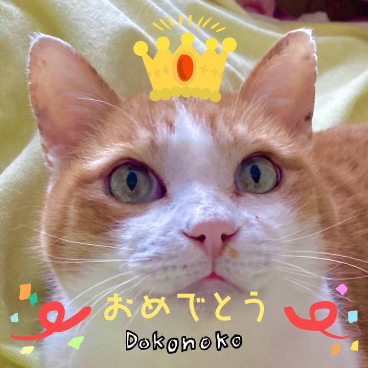 E2fc7bda dfca 47a9 8e9c 6dfc5a75522b 1685972534666