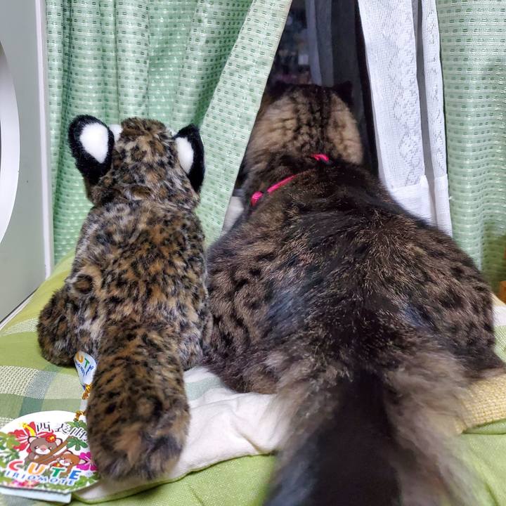 E2fc85f3 b3df 493e a81c d19e66df89ee 1696686710620