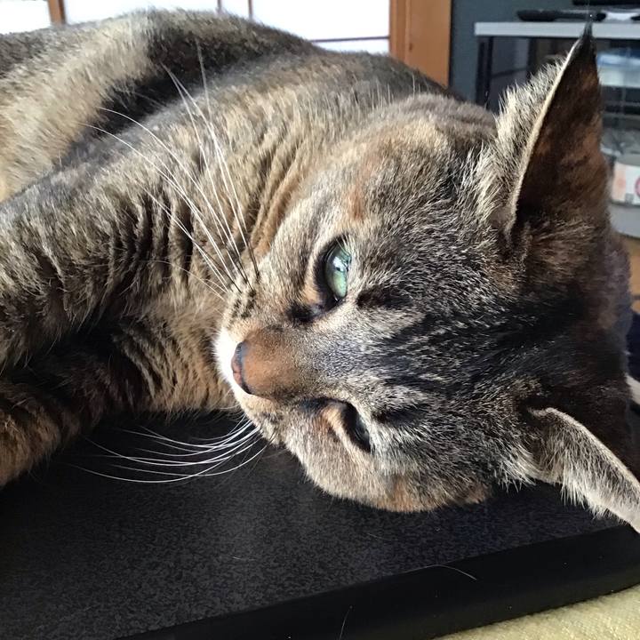 E2fc8726 0a11 42db 92d7 caaba262d8ee 1707694113460