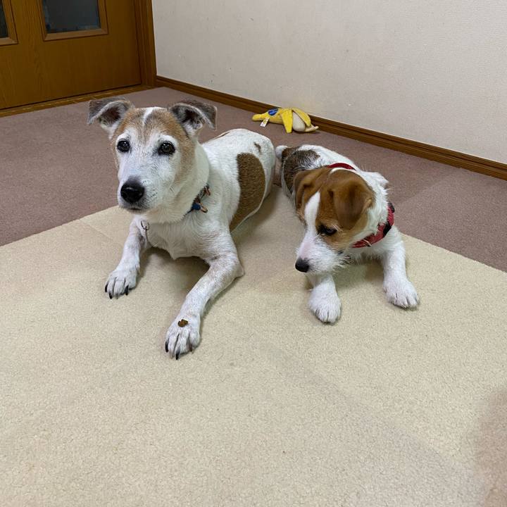 E2fc8aae fdbe 4fad 9b1e d9c87df2f975 1620194788348