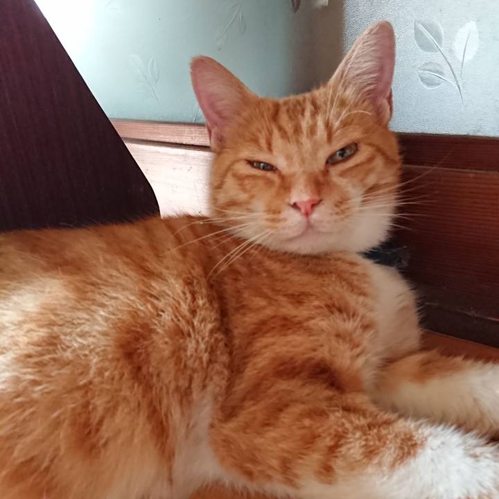 E2fc99df 62d4 44ef ac40 41be8f517a17 1568065906338