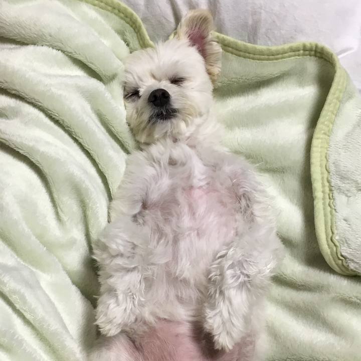 E2fcc675 4bac 4b99 8a48 cf62e0983563 1510320421502