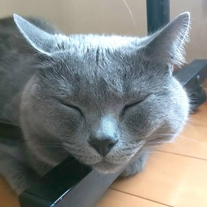 E2fccfd6 af5c 4766 ae3f efe78a244404 1598857513081