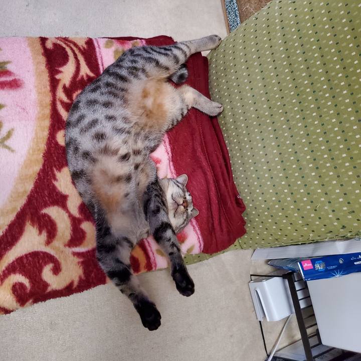 E2fcd1c1 6bba 4e07 b18f 258aa70e592d 1698676837594