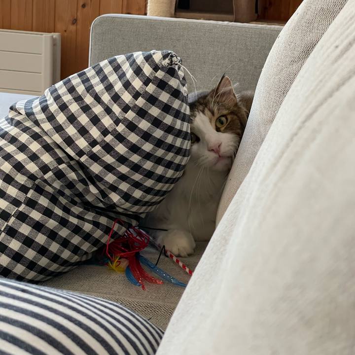 E2fd1ccd 2cf0 459b 9dcc 2d9a44509ace 1662242871198