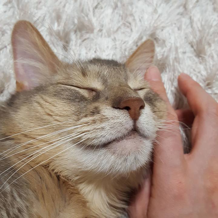 E2fd2fbf b305 426b 91a5 97020ee2372c 1580548925054