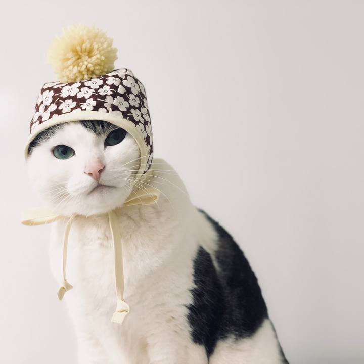 E2fd5686 30f0 458a 88c8 f8f29dddbbe3 1551476308449