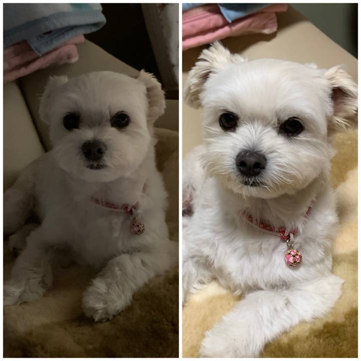 E2fd65bd f6f9 485f b2a6 36f75ba420a2 1603870095167