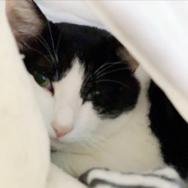 E2fda0df ef99 466b ba1b d407e09dc7b8 1550282615521