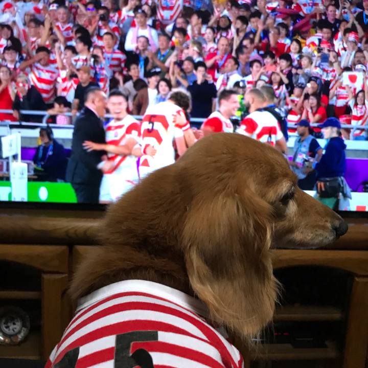 E2fdb04b be05 4cfe a7f2 1dcd51b33161 1570971037232