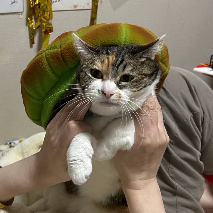 E2fde6c0 7f4e 41b0 9730 e1dd3e828693 1763415450152