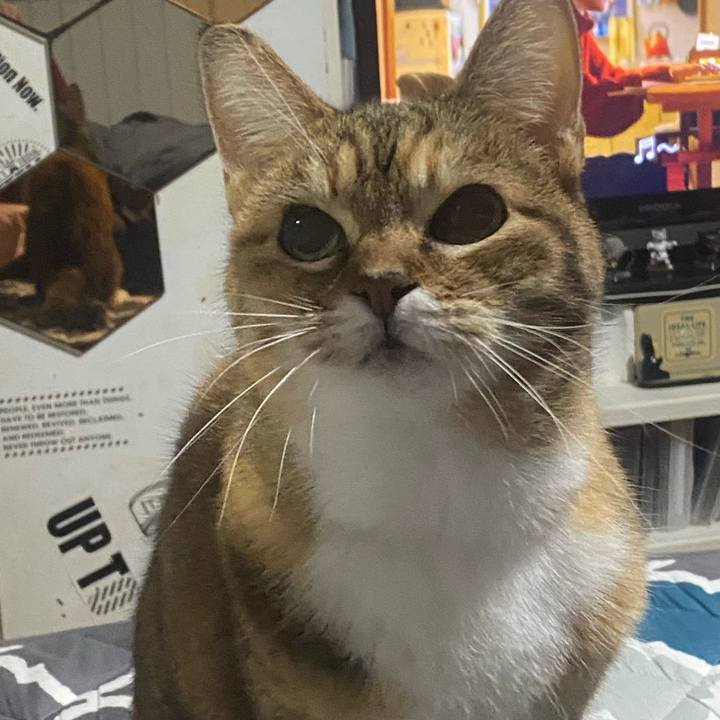 E2fde96a 4dd5 4808 81f2 5d962be15cae 1769289243291