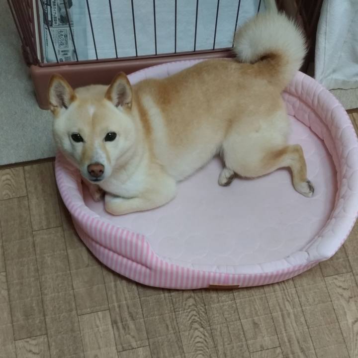 E2fe19f9 e1f7 4d4b 8efb 024846e512be 1590703251855