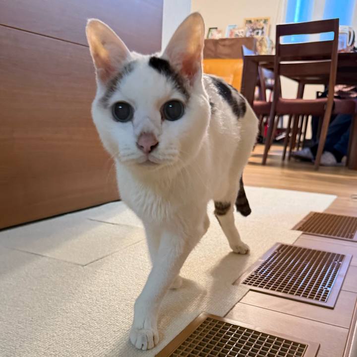 E2fe3645 dd88 40f7 94a8 fd4cc12fc49f 1767570695112