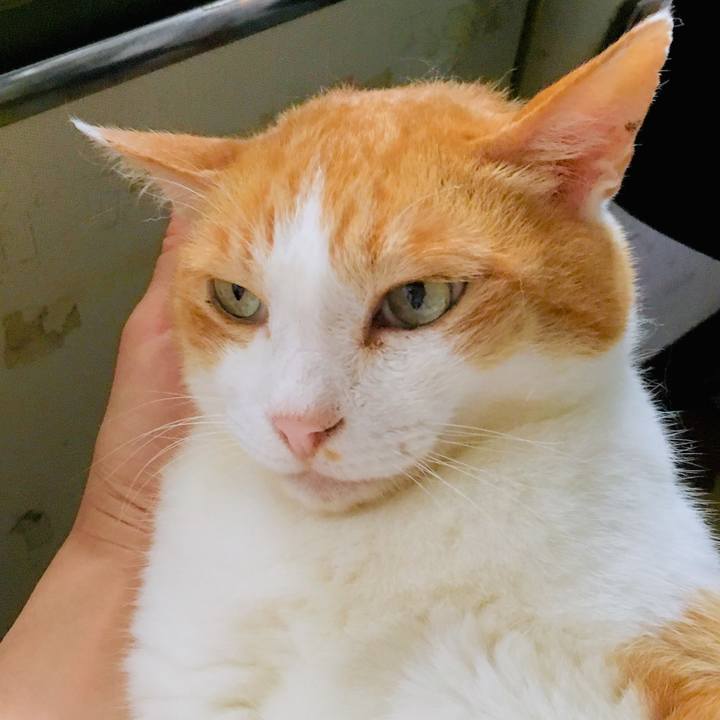 E2fe7e1a fdd4 45a1 86ac 27a71b24d5ef 1562997514898