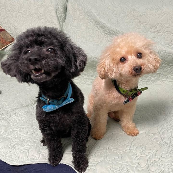 E2feafdd d915 4e3b ab1e d43efdb88c2c 1661075416288