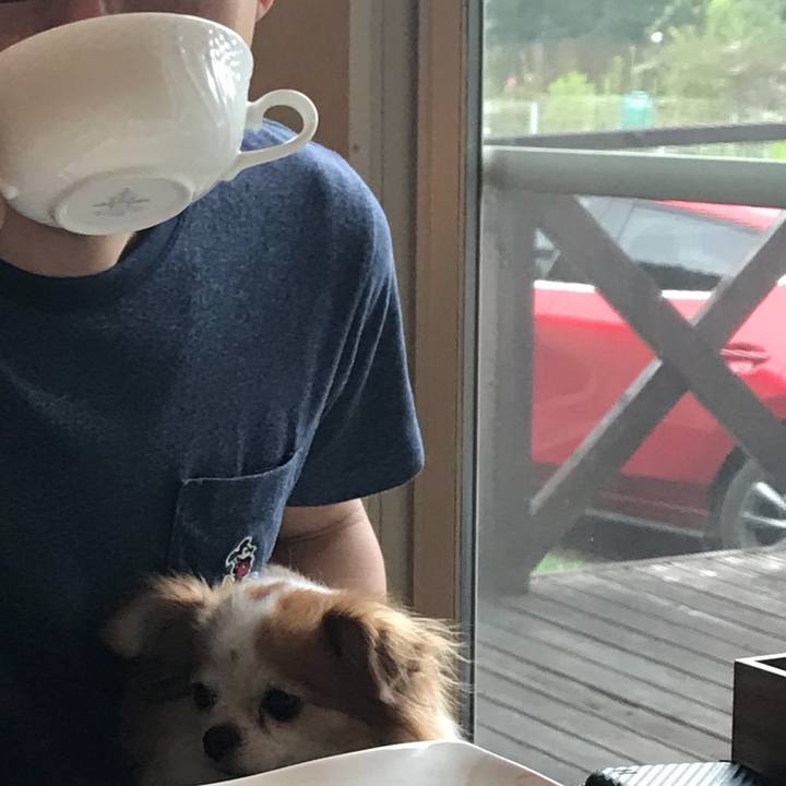 E2fece90 7291 4646 85c9 7922018b68e7 1566707244841