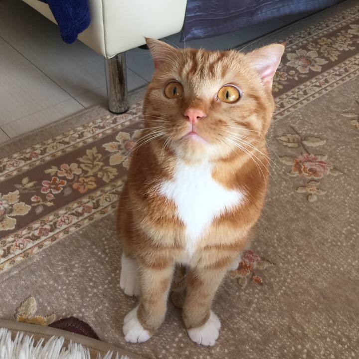 E2ff31cc 802d 4ac6 afcc a5be26a7f4df 1520898098863