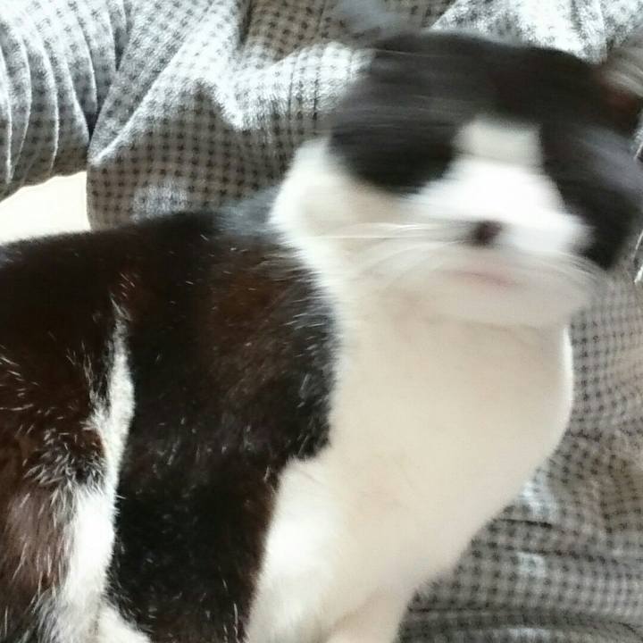 E2ff5468 9c14 412f 9402 6619da3c1c31 1511874703757