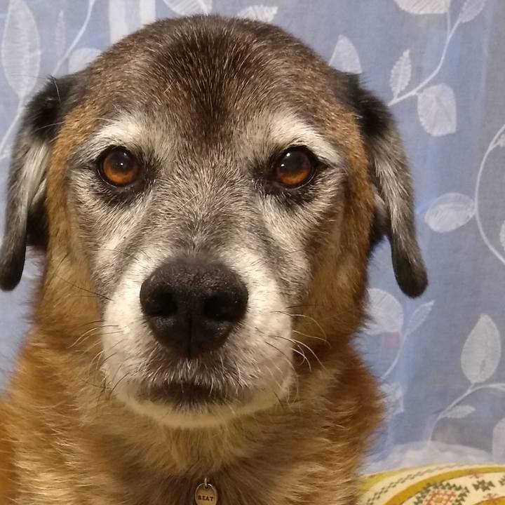 E2ff56d2 4ab9 45ef 9dea 2ccee04a2dad 1571412201153