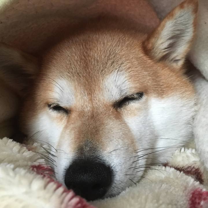 E2ffce7b fa07 481d a540 d14016e797a4 1542852679528