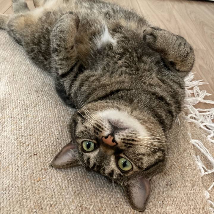 E30038f7 2da1 4efb 8ea1 8b02ded3c372 1684366697584