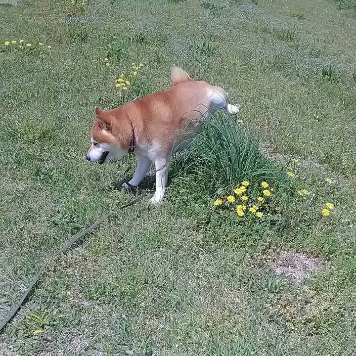 E30043f8 1112 40df a2ee 96ae1a74fa13 1682206582010