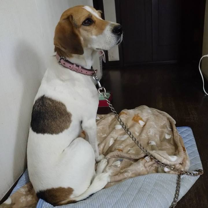 E3004d92 aa1b 4755 b5c8 abdb3f8d5a84 1601446720582