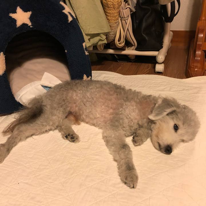 E3006462 75e1 4b39 a406 cb7163a7fe6d 1593098063493